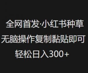 全网首发,小红书种草无脑操作,复制黏贴即可,轻松日入3张-虚拟资源库