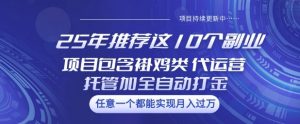 25年推荐这10个副业项目包含褂鸡类、代运营托管类、全自动打金类【揭秘】-虚拟资源库