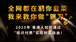 全网都在割你韭菜，我来教你做镰刀,2025普通人如何通过知识付费，实现财F自由【揭秘】-虚拟资源库
