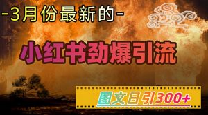小红书超劲爆引流手段,图文日引300+轻松变现1W-虚拟资源库