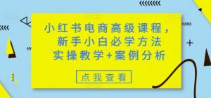 小红书电商高级课程,新手小白必学方法,实操教学+案例分析-虚拟资源库