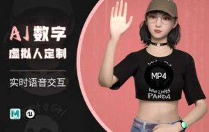 Ai数字人虚拟(智能体)实时语音交互特训营,自行定制超写实角色AI数字人交互技术-虚拟资源库