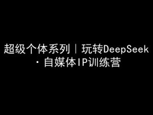 超级个体系列,玩转DeepSeek·自媒体IP训练营,deepseek教程-虚拟资源库