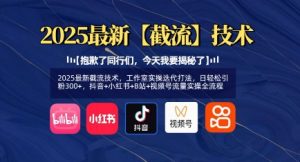 2025最新截流技术，工作室实操迭代打法，日轻松引粉300+，抖音+小红书+B站+视频号流量实操全流程-虚拟资源库