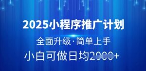 2025小程序推广计划,全面升级,简单上手,日均多张【揭秘】-虚拟资源库