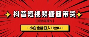 抖音短视频食品橱窗带货,小白轻松上手日入1k+【揭秘】-虚拟资源库