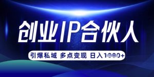 云帆·创业ip合伙人打造3.0,从0到1教你做网创,实现月入过W-虚拟资源库
