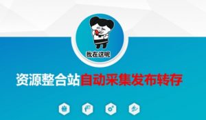 资源整合站自动采集发布转存，解放双手-虚拟资源库