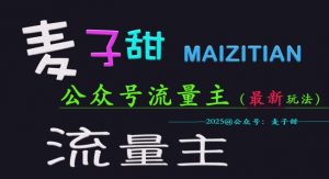 麦子甜2025公众号流量主全网最新玩法核心,手把手教学,成熟稳定,收益有保障-虚拟资源库