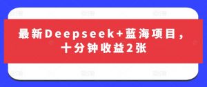 最新Deepseek+蓝海项目,十分钟收益2张-虚拟资源库