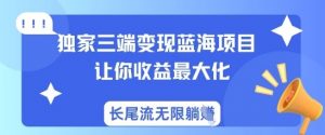 独家三端变现蓝海项目,让你收益最大化,长尾流无限躺挣-虚拟资源库
