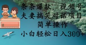 条条爆款,视频号夫妻搞笑对话项目,简单操作,小白轻松日入3张+-虚拟资源库