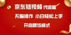 京东短视频代运营,全程喂饭,小白轻松上手【揭秘】-虚拟资源库