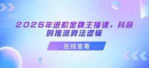 2025年进阶金牌主播课，抖音的推流算法逻辑-虚拟资源库