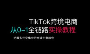 TikTok跨境电商从0-1全链路全方位实操教程,把握多元变化中的全球生意机会-虚拟资源库
