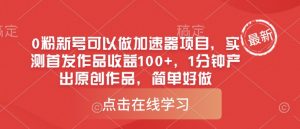 0粉新号可以做的加速器项目,实测首发作品收益100+,1分钟产出原创作品,简单好做-虚拟资源库