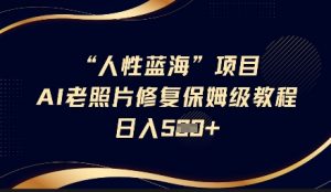 人性蓝海AI老照片修复项目保姆级教程,长期复购,轻松日入5张-虚拟资源库