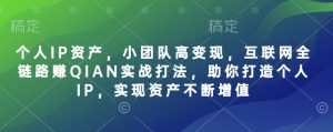 个人IP资产,小团队高变现,互联网全链路赚QIAN实战打法,助你打造个人IP,实现资产不断增值-虚拟资源库