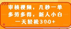 审核视频,几秒一单,多劳多得,新人小白一天轻松3张【揭秘】-虚拟资源库