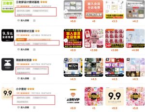 0成本虚拟项目实战手把手教你落地,单店月入5k-虚拟资源库