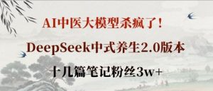 AI中医大模型杀疯了!DeepSeek中式养生2.0版本,十几篇笔记粉丝3w+-虚拟资源库
