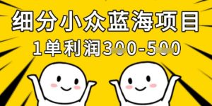 细分小众蓝海项目,一单利润3张,每月收入稳定过1w+-虚拟资源库