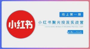 小红书聚光陪跑第一期，教你从0到1玩转小红书聚光投流，搭建小红书付费投流团队，更快的见到效果-虚拟资源库
