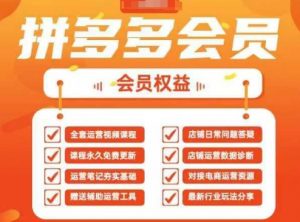 2025拼多多运营实战课，40节全流程教学，覆盖拼多多运营全链路-虚拟资源库