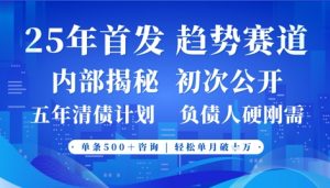 2025年首次公开,真正的事业型赛道,客咨不断,单月轻松破W-虚拟资源库