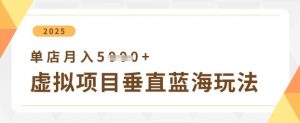 虚拟项目垂直玩法,实现单店月入5k+-虚拟资源库
