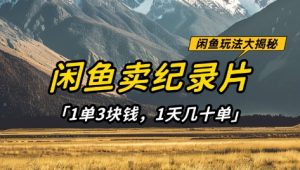 闲鱼卖纪录片1单3块钱，1天几十单，项目稳定有潜力-虚拟资源库