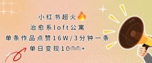 小红书超火的治愈系loft公寓,单条作品点赞16W,3分钟一条,单日变现数张-虚拟资源库