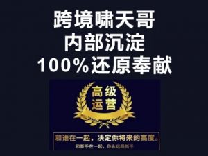 漫威跨境特训营-跨境电商教程-虚拟资源库
