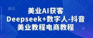 美业AI获客Deepseek+数字人-抖音美业教程电商教程-虚拟资源库