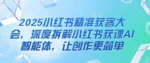 2025小红书精准获客大会,深度拆解小红书获课AI智能体,让创作更简单-虚拟资源库