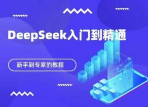 DeepSeek快速从入门到精通，新手的保姆级教程-虚拟资源库