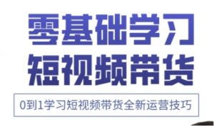 快手运营+高阶剪辑实战课，0到1学习短视频带货全新运营技巧-虚拟资源库