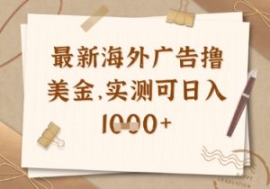 最新海外广告联盟挂机撸美金项目,实测可日入多张【揭秘】-虚拟资源库
