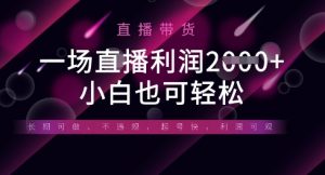 半无人直播带货,一场利润数张,适合所有平台玩法,小白也可轻松-虚拟资源库