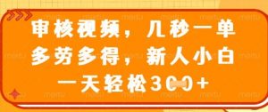 最新审核视频,几秒一单,多劳多得,新人小白一天轻松3张【揭秘】-虚拟资源库