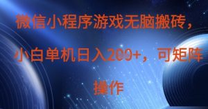 微信小程序游戏无脑搬砖，单设备日入2张+，可矩阵操作-虚拟资源库