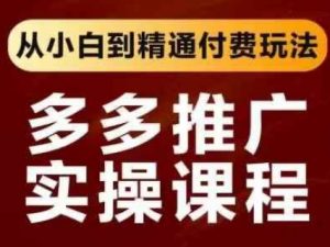 拼多多推广实操课程,从小白到精通付费玩法-虚拟资源库