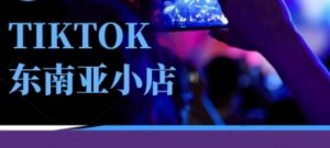 Tiktok东南亚跨境小店运营班,一门专业的TK小店运营培训课-虚拟资源库