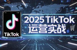 2025TikTok电商运营,掌握TikTok店铺运营核心技巧,实现低成本高转化-虚拟资源库