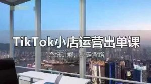 TikTok小店运营出单课，从开店选品、运营出单、发货回款，进行全流程讲解-虚拟资源库