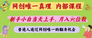 网创唯一真理,内部课程,新手小白当天上手,月入5位数,普通人通过网创唯一的机会【揭秘】-虚拟资源库