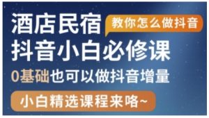 抖音本地生活酒店民宿运营,0基础也可以做抖音增量-虚拟资源库