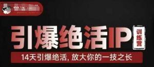 引爆绝活IP训练营,14天引爆绝活,放大你的一技之长-虚拟资源库