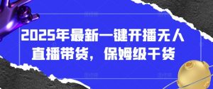 2025年最新一键开播无人直播带货,保姆级干货-虚拟资源库
