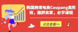 韩国跨境电商Coupang高阶班，酷胖卖家，必学课程-虚拟资源库